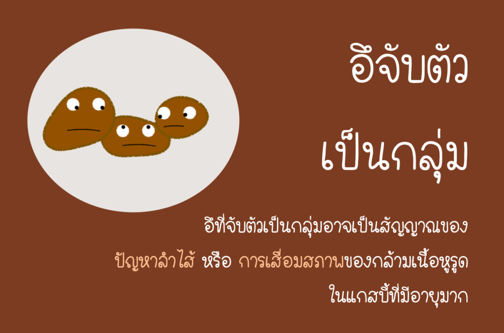 แกสบี้ท้อง-อืดแกสบี้ท้องเสีย-4