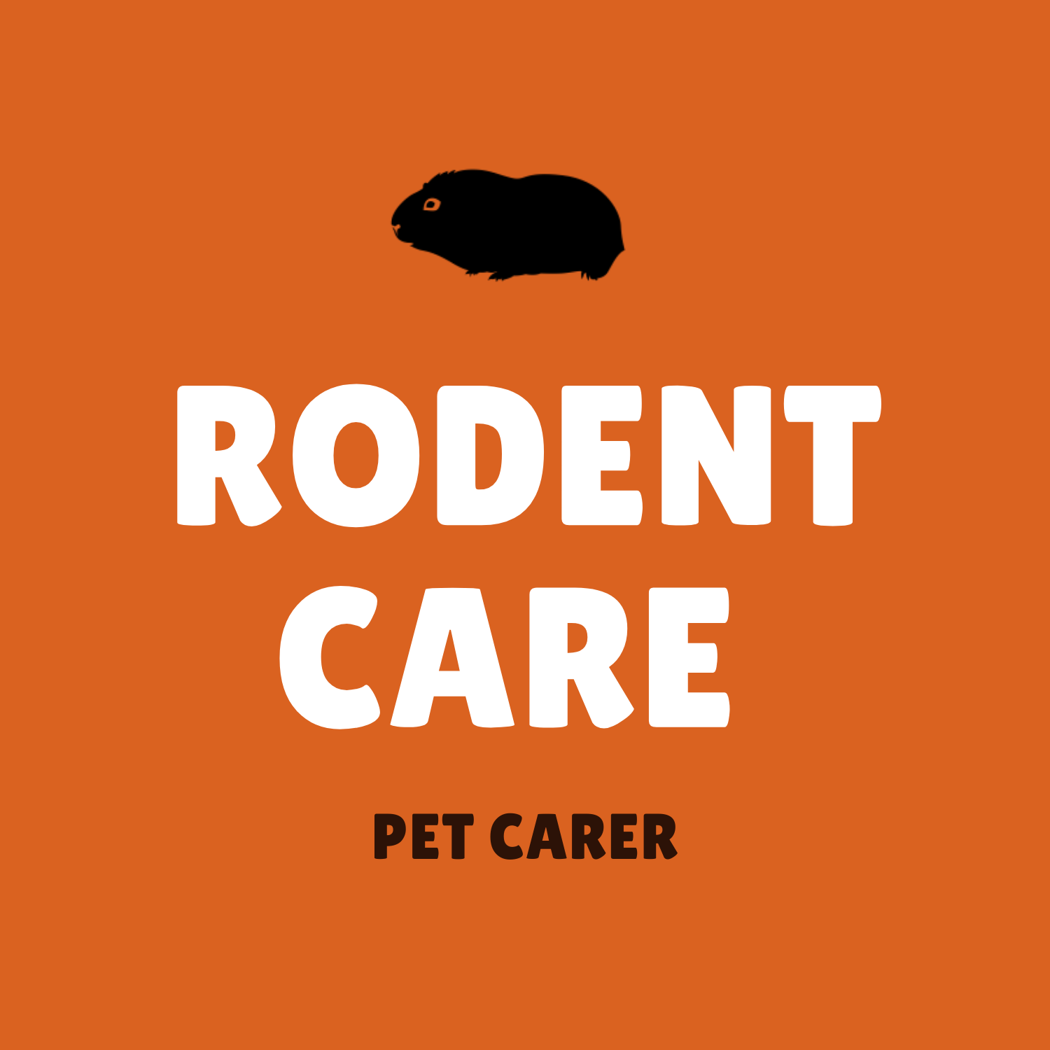 Ready go to ... https://rodentcare.biz/rodentcare-ebook-1/ [ eBook วิธีเช็คสุขภาพแกสบี้ - Rodent Care]