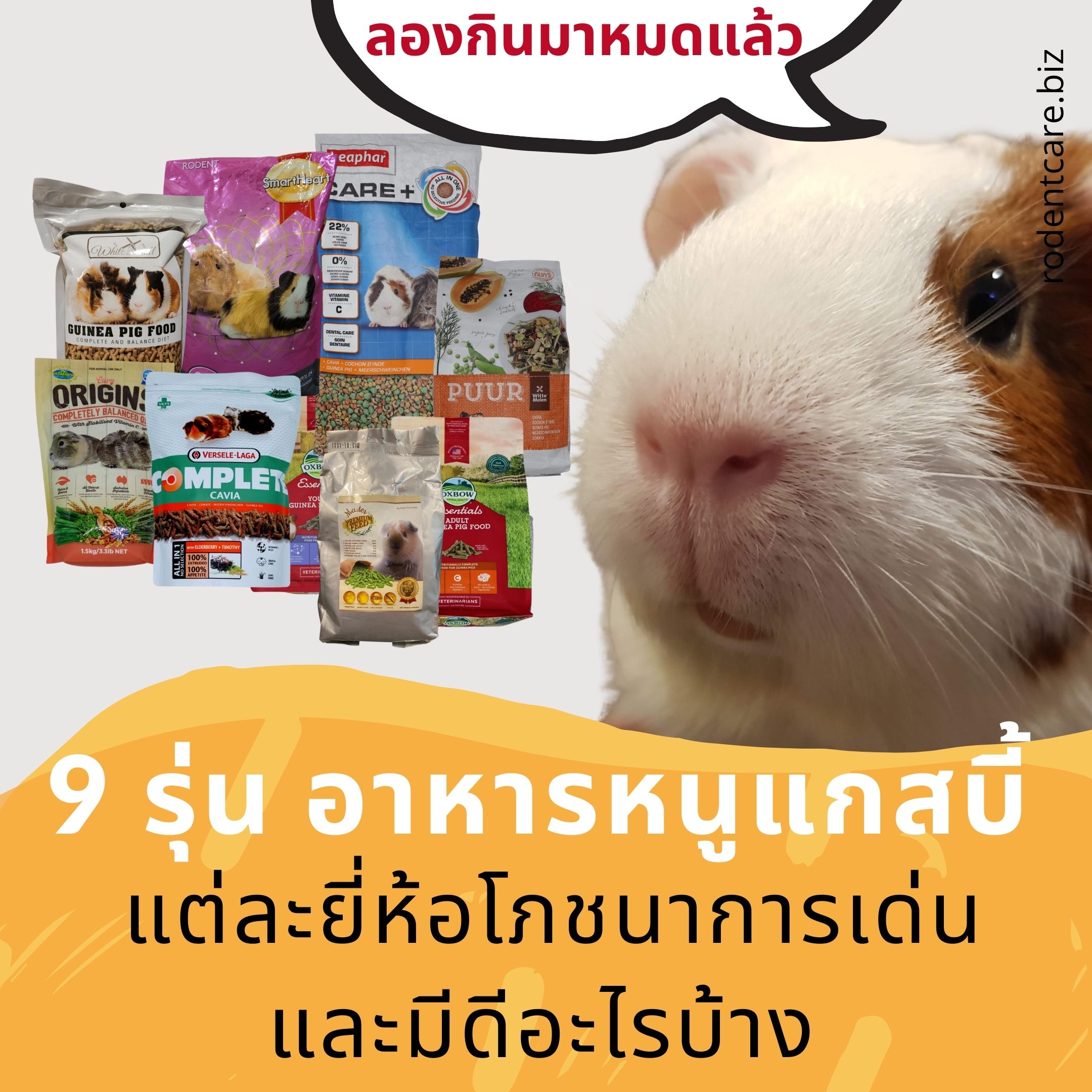 Read more about the article 9 อาหารแกสบี้ หนูขวัญ หนูตะเภา คุณภาพดี