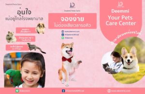 Read more about the article Thailand International Pet Variety Exhibition รับคิวปรึกษาสัตวแพทย์ฟรี กับ Deemmi Pets Care ที่บูธ N03​