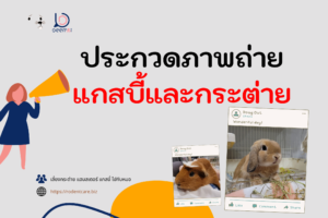 Read more about the article ภาพถ่ายหนูแกสบี้ กระต่าย ชิงรางวัล ครั้งที่ 1