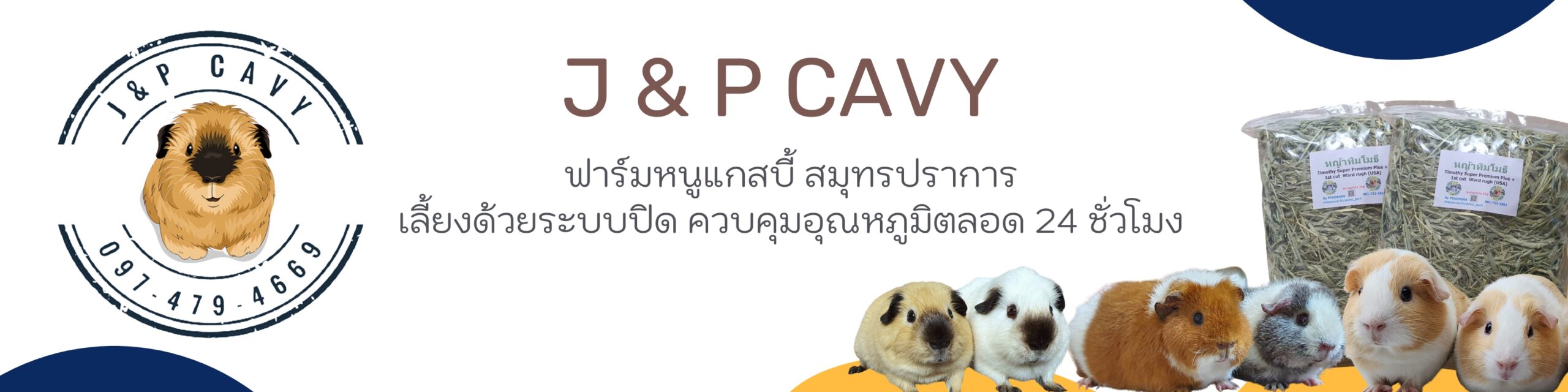 cover ร้าน J&P Cavy