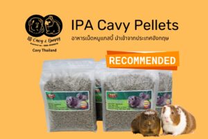 Read more about the article อาหารเม็ดหนูแกสบี้ นำเข้าจากประเทศอังกฤษ IPA Cavy Pellets