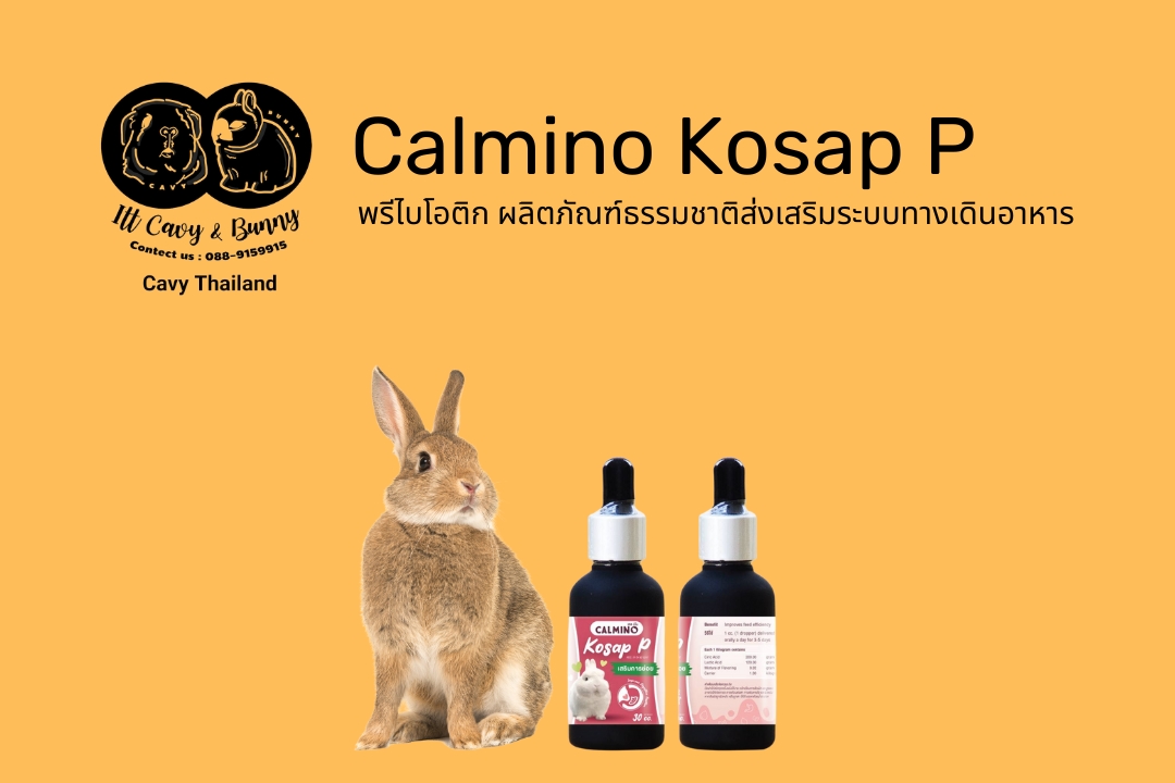 Read more about the article อาหารเสริม Calmino Kosap P ส่งเสริมทางเดินอาหาร พรีไบโอติก สูตรเข้มข้น สำหรับกระต่ายและสัตว์ฟันแทะ