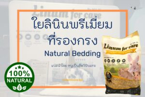 Read more about the article ใยลินินรองกรง แทนการใช้ขี้เลื่อยคุณสมบัติพรีเมี่ยม Linum for care