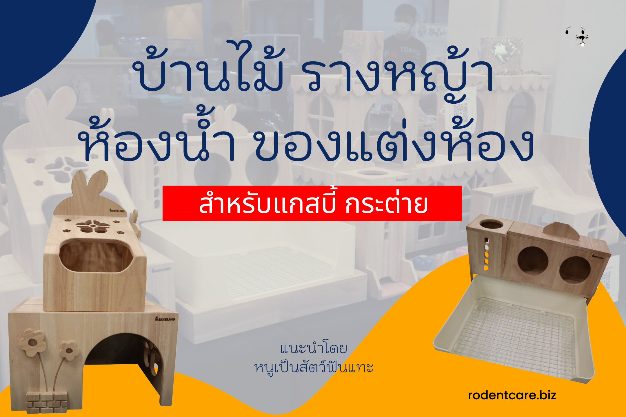 Read more about the article บ้านไม้ รางหญ้า ห้องน้ำกระต่าย งานแฮนเมดจาก Bunderland