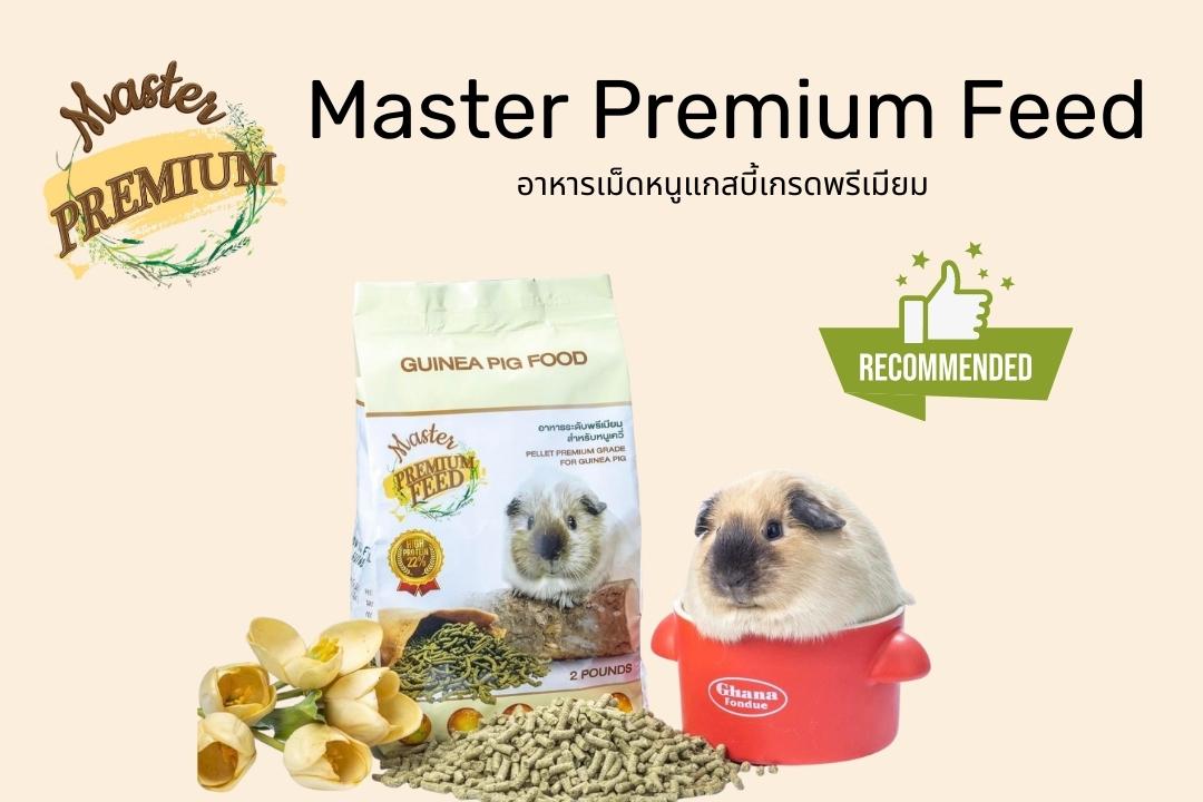 Read more about the article อาหารเม็ด Master Premium เกรดพรีเมียม สำหรับหนูแกสบี้