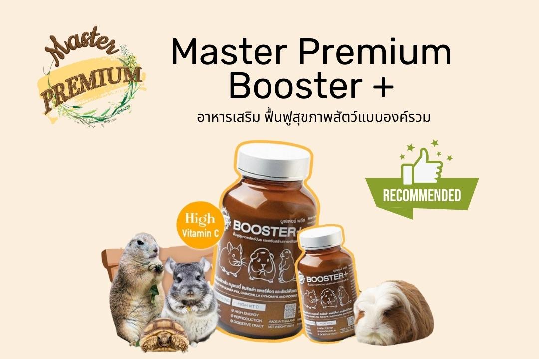 Read more about the article อาหารเสริม Master Premium Booster Plus สำหรับหนูแกสบี้และสัตว์กินพืชทุกชนิด