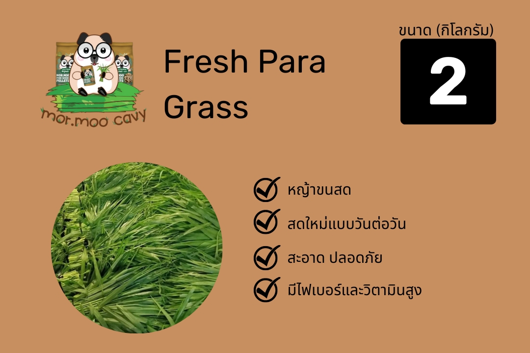 Mor.moo fresh para grass_หญ้าขนสดจากมอหมู