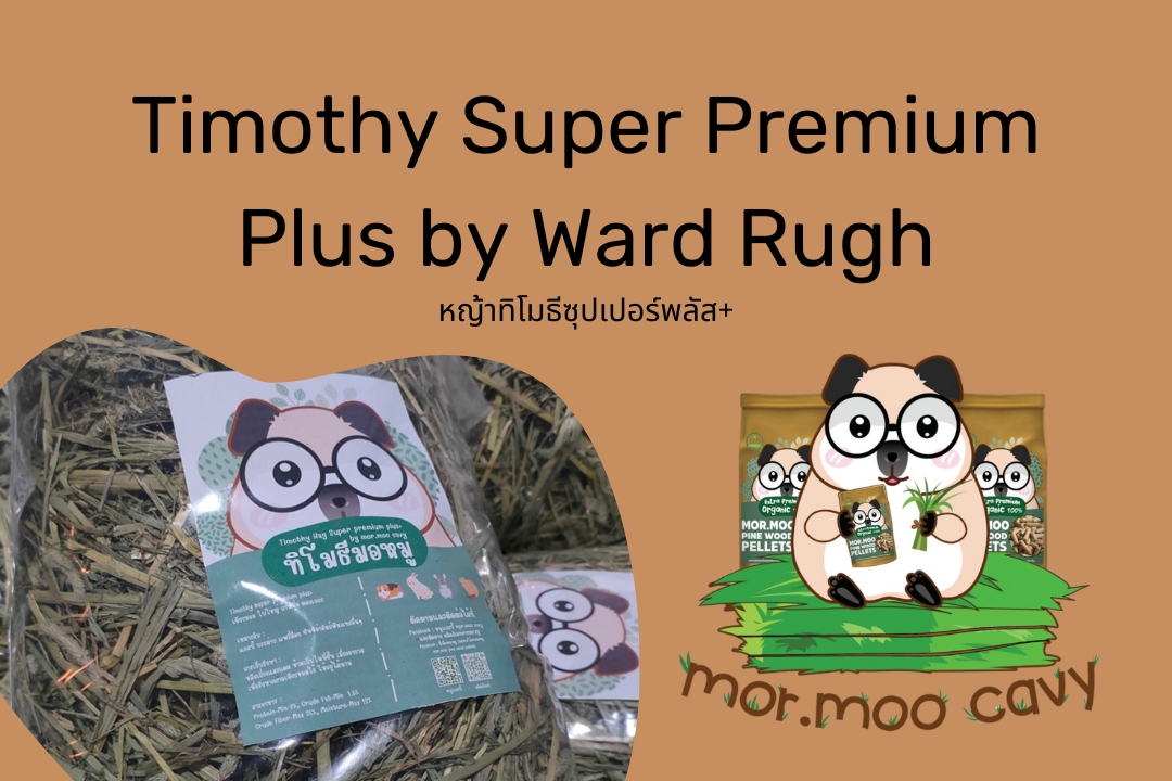 Read more about the article หญ้าแห้งหนูแกสบี้ หญ้าทิโมธีซุปเปอร์พรีเมี่ยมพลัส Timothy Super Premium Plus by Ward Rugh