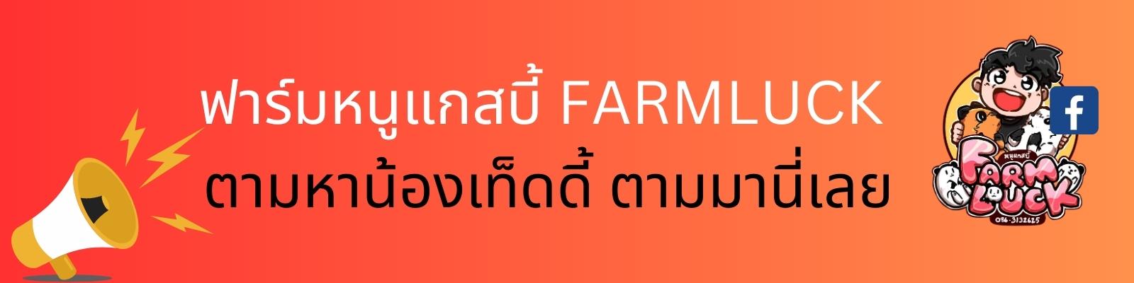 Banner_ฟาร์มหนูแกสบี้ FarmLuck