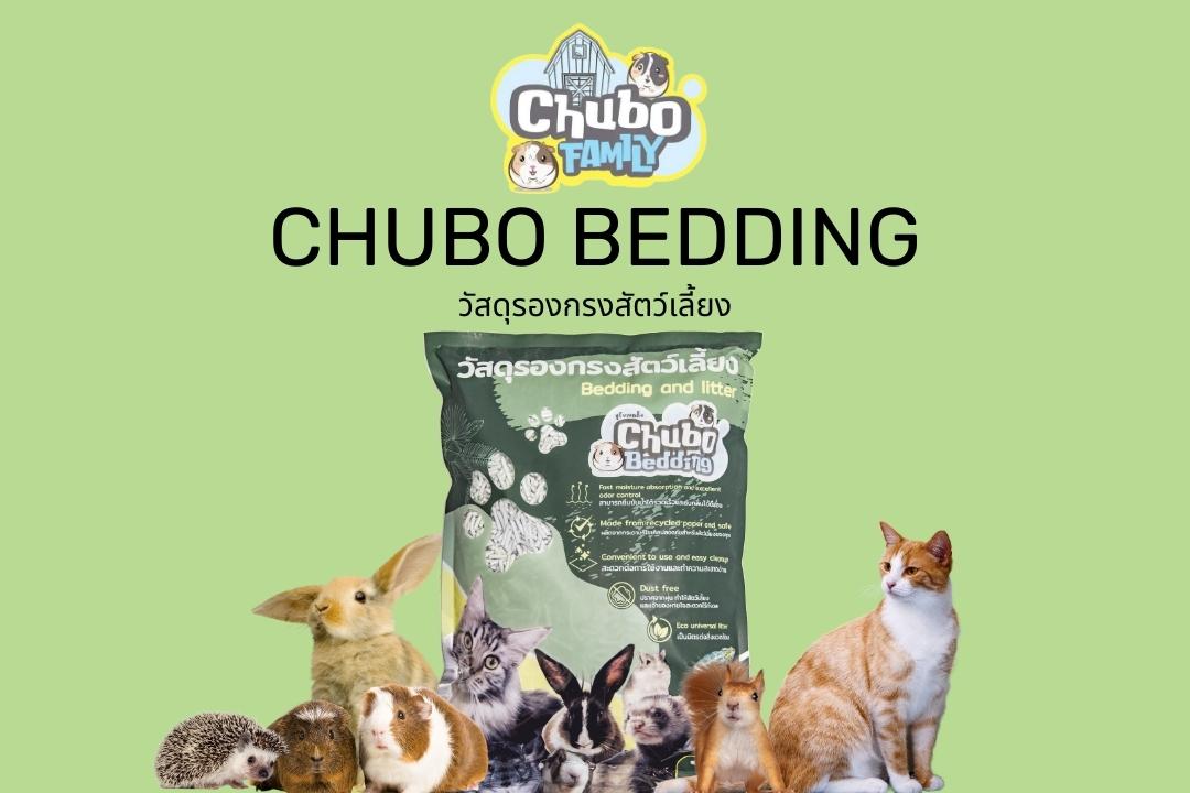 Read more about the article CHUBO BEDDING วัสดุรองกรงผลิตจากกระดาษ สำหรับหนูแกสบี้ กระต่าย และสัตว์พิเศษ ไร้กังวลเรื่องฝุ่น