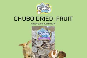 Read more about the article CHUBO กล้วยอบแห้ง ผลไม้อบแห้ง สำหรับหนูแกสบี้ กระต่าย แฮมสเตอร์